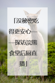 没秘密吃得更安心——探访浣熊食堂后厨直播
