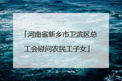河南省新乡市卫滨区总工会慰问农民工子女
