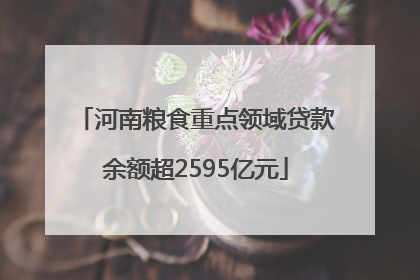 河南粮食重点领域贷款余额超2595亿元