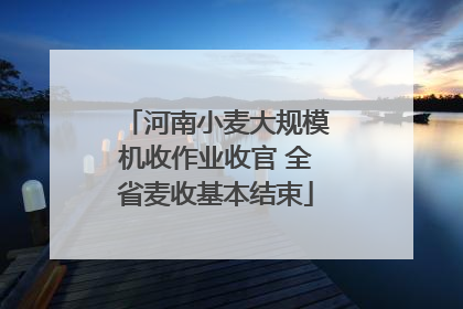 河南小麦大规模机收作业收官 全省麦收基本结束