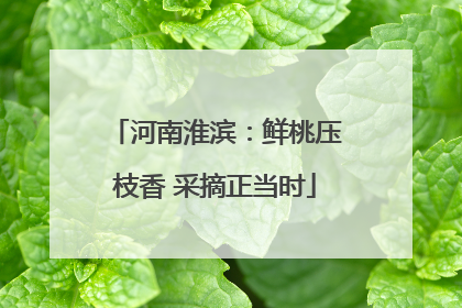 河南淮滨：鲜桃压枝香 采摘正当时