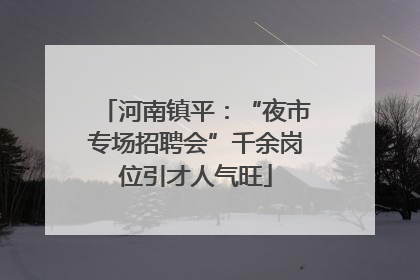 河南镇平：“夜市专场招聘会”千余岗位引才人气旺