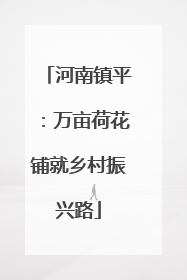 河南镇平：万亩荷花铺就乡村振兴路