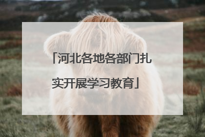 河北各地各部门扎实开展学习教育