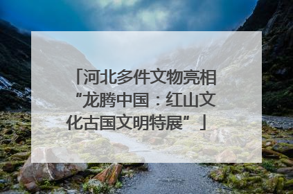 河北多件文物亮相“龙腾中国：红山文化古国文明特展”