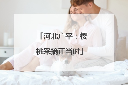 河北广平：樱桃采摘正当时