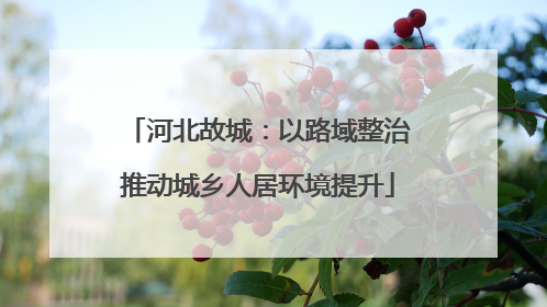 河北故城：以路域整治推动城乡人居环境提升