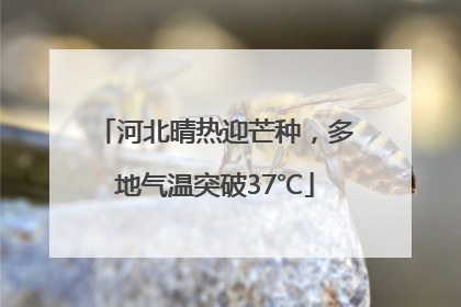河北晴热迎芒种，多地气温突破37℃