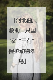 河北曲周救助一只国家“三有”保护动物翠鸟