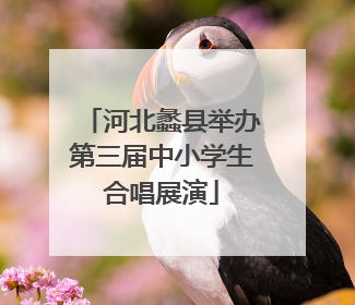 河北蠡县举办第三届中小学生合唱展演