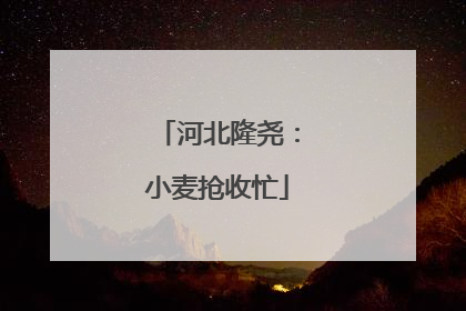 河北隆尧：小麦抢收忙