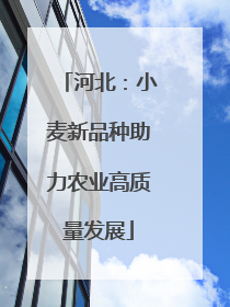 河北：小麦新品种助力农业高质量发展