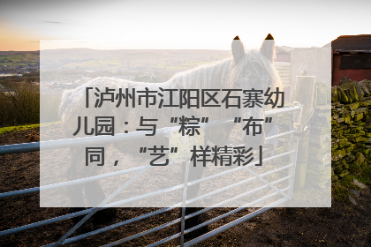泸州市江阳区石寨幼儿园：与“粽”“布”同，“艺”样精彩