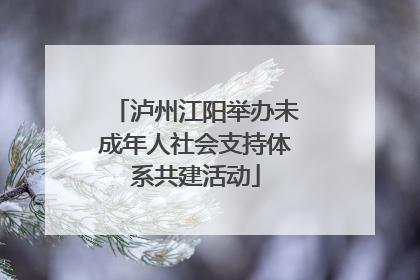 泸州江阳举办未成年人社会支持体系共建活动