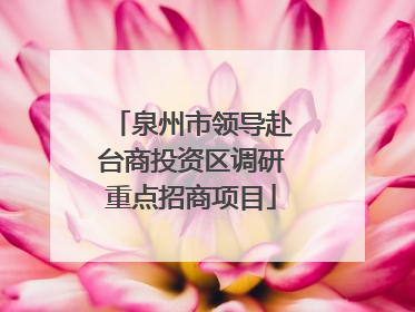 泉州市领导赴台商投资区调研重点招商项目