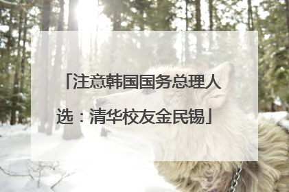 注意韩国国务总理人选：清华校友金民锡