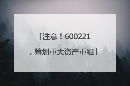 注意！600221，筹划重大资产重组