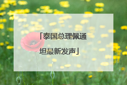 泰国总理佩通坦最新发声