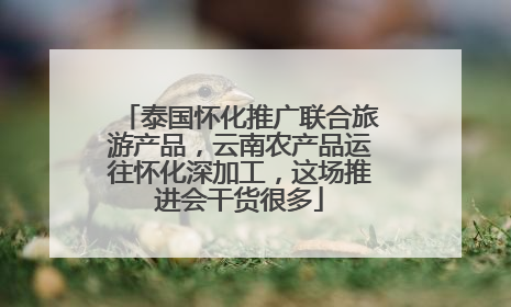 泰国怀化推广联合旅游产品，云南农产品运往怀化深加工，这场推进会干货很多