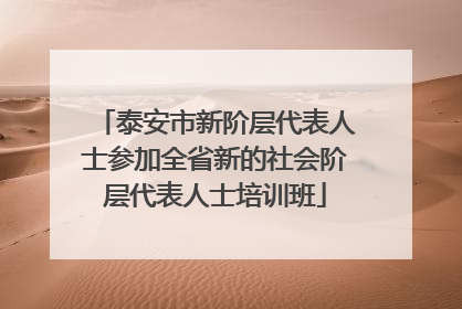 泰安市新阶层代表人士参加全省新的社会阶层代表人士培训班