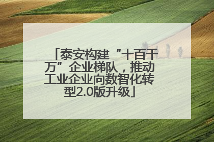 泰安构建“十百千万”企业梯队，推动工业企业向数智化转型2.0版升级