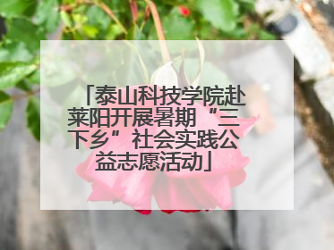 泰山科技学院赴莱阳开展暑期“三下乡”社会实践公益志愿活动