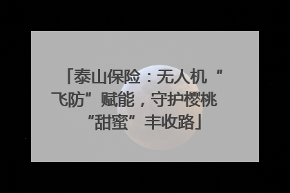 泰山保险：无人机“飞防”赋能，守护樱桃“甜蜜”丰收路