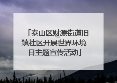 泰山区财源街道旧镇社区开展世界环境日主题宣传活动