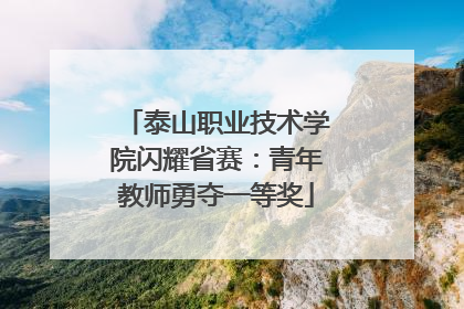 泰山职业技术学院闪耀省赛：青年教师勇夺一等奖