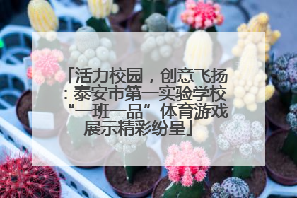 活力校园，创意飞扬：泰安市第一实验学校“一班一品”体育游戏展示精彩纷呈