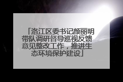 洛江区委书记颜丽明带队调研督导巡视反馈意见整改工作，推进生态环境保护建设