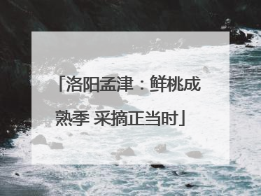 洛阳孟津：鲜桃成熟季 采摘正当时