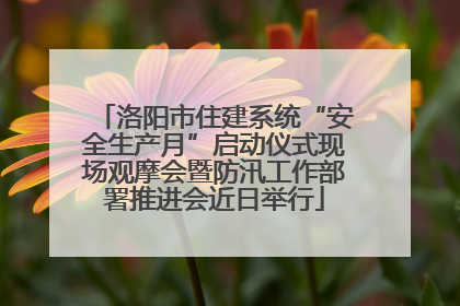 洛阳市住建系统“安全生产月”启动仪式现场观摩会暨防汛工作部署推进会近日举行