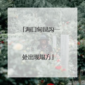 海口甸昆沟一处出现塌方