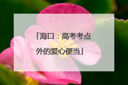 海口：高考考点外的爱心便当