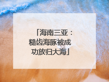 海南三亚：糙齿海豚被成功放归大海