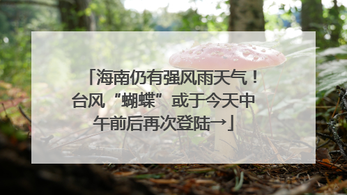 海南仍有强风雨天气！台风“蝴蝶”或于今天中午前后再次登陆→