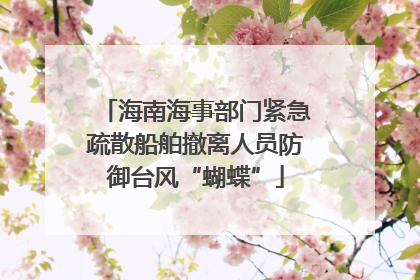 海南海事部门紧急疏散船舶撤离人员防御台风“蝴蝶”