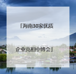 海南30家优质企业亮相中博会