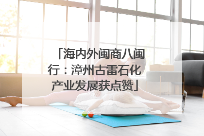 海内外闽商八闽行：漳州古雷石化产业发展获点赞