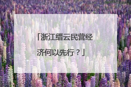 浙江缙云民营经济何以先行？
