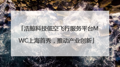 浩鲸科技低空飞行服务平台MWC上海首秀，推动产业创新