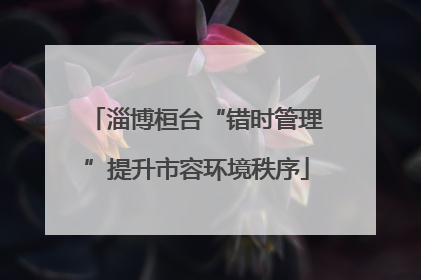 淄博桓台“错时管理”提升市容环境秩序