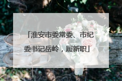 淮安市委常委、市纪委书记岳岭，履新职