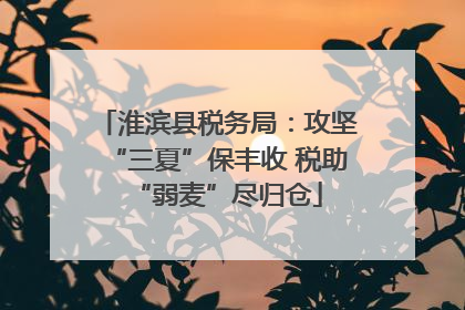 淮滨县税务局：攻坚“三夏”保丰收 税助“弱麦”尽归仓