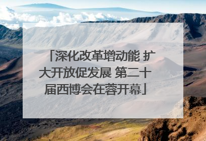 深化改革增动能 扩大开放促发展 第二十届西博会在蓉开幕