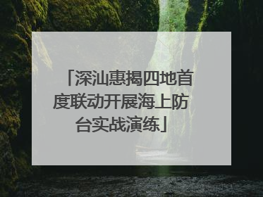 深汕惠揭四地首度联动开展海上防台实战演练