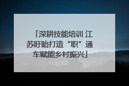 深耕技能培训 江苏盱眙打造“职”通车赋能乡村振兴