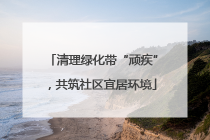 清理绿化带“顽疾”，共筑社区宜居环境