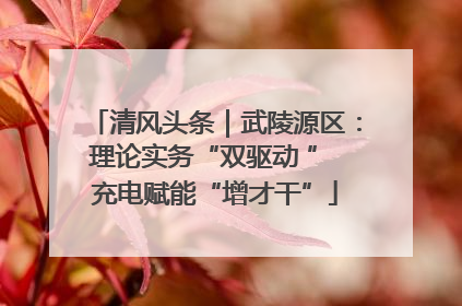 清风头条｜武陵源区：理论实务“双驱动 ” 充电赋能“增才干”